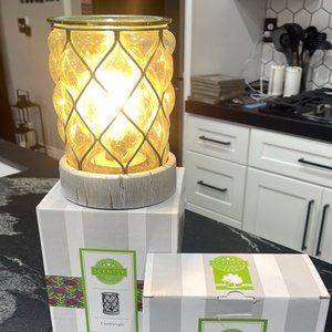 Country Light Edison Bulb Scentsy Warmer